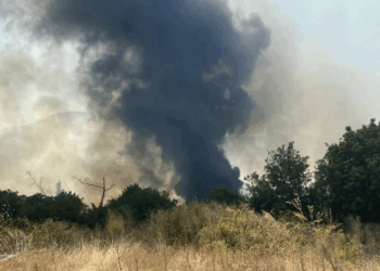 Φωτιά στη Θεσπρωτία – Μήνυμα του 112