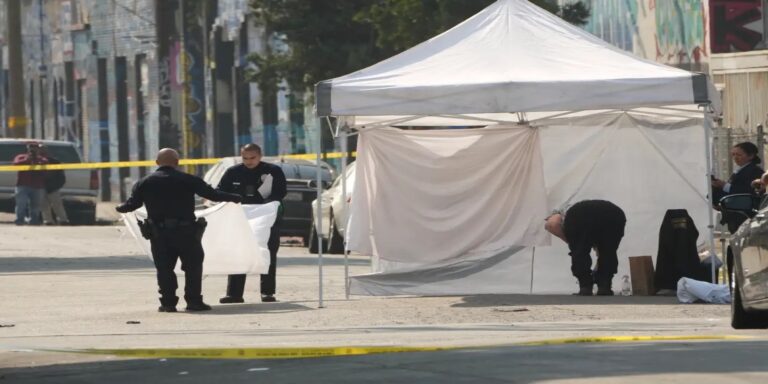 Λος Άντζελες: Πυροβολισμοί σε μουσικό φεστιβάλ – Δύο νεκροί