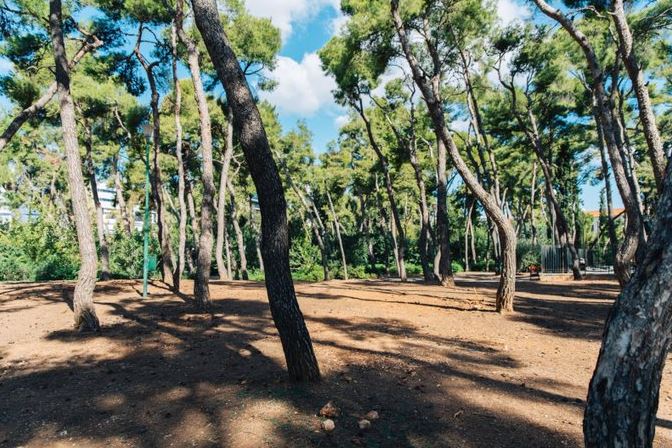 Δήμος Αθηναίων: «Λουκέτο» στο Άλσος Χωροφυλακής – Η τραγική υπόθεση που ερευνά η ΕΛ.ΑΣ.