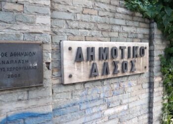 Δήμος Αθηναίων: Άνοιξε για το κοινό το Άλσος Χωροφυλακής – Τέλος η έρευνα για τους παράνομους τάφους ζώων συντροφιάς