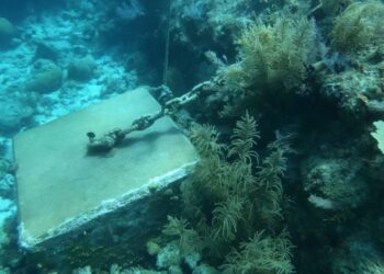 Πώς μια αρχαία πόλη 50.000 ετών στην Κούβα "απειλεί" να αλλάξει όλη την ιστορία του πλανήτη