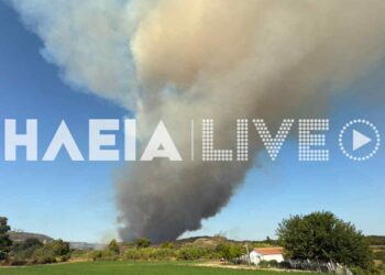 Φωτιά στην Αρχαία Ολυμπία: Εκκενώνονται 5 περιοχές – Απεγκλωβίστηκε εγκαυματίας (βίντεο)