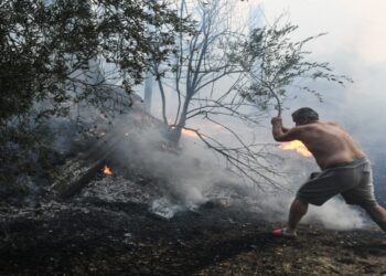 Περίπου 100.000 στρέμματα επηρεάστηκαν από τις μεγάλες φωτιές