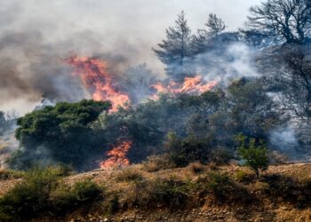 Φωτιά στη Θεσσαλονίκη: Οριοθετημένες σε Βόλβη και Σκύδρα