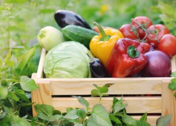 Υπουργείο Αγροτικής Ανάπτυξης: Πρόστιμα άνω των 56.000 ευρώ σε φορείς πιστοποίησης βιολογικών προϊόντων