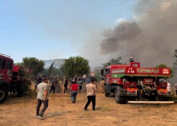 Τουρκία: Μεγάλη πυρκαγιά στο Τσανάκαλε – Πάνω από 2.000 κατοίκους απομακρύνονται άρον άρον