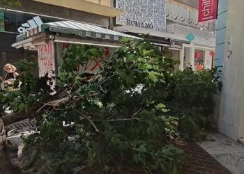 Βίντεο από την πτώση δέντρου στην Ερμού – Καταπλάκωσε αυτοκίνητο