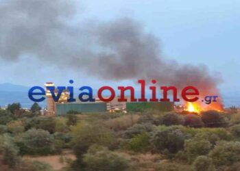 Φωτιά στην Εύβοια – Κοντά στο εργοστάσιο της ΔΕΗ