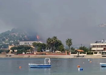 Φωτιά στην Εύβοια – Επιχειρούν εναέρια μέσα