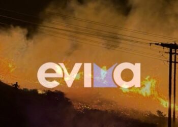 Φωτιά σε δασική έκταση στα Μεσοχώρια Εύβοιας