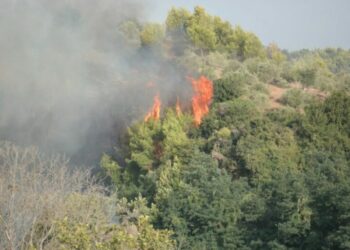 Φωτιά στην Αρχαία Ολυμπία: Δύσκολη νύχτα – Απειλεί 4 χωριά (βίντεο)