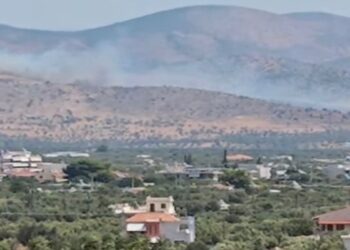 Φωτιά στα Μέγαρα – Συναγερμός στην Πυροσβεστική Ι ΒΙΝΤΕΟ