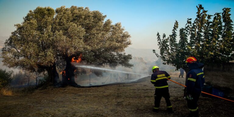 Προσήχθη 55χρονος για τις φωτιές στη Λέσβο
