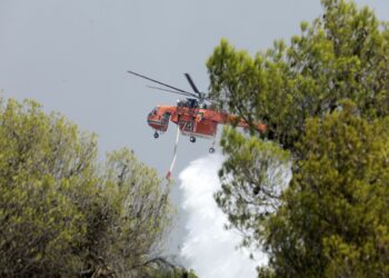 Τσουκαλάς: Καθημερινά αποκαλύπτονται στελέχη της ΝΔ στο «κέντρο της πίστας» του σκανδάλου στον ΟΠΕΚΕΠΕ