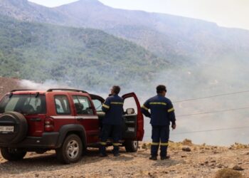 Φωτιά στην Ηλεία – Συναγερμός στην Πυροσβεστική