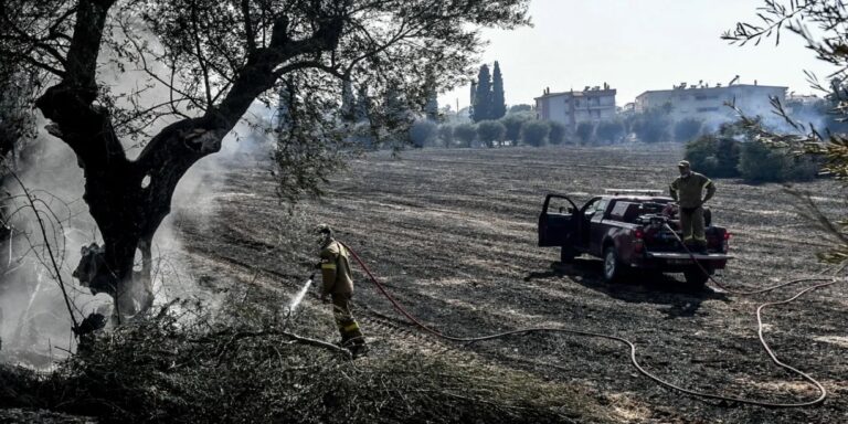 Έκθεση «κόλαφος» του Ελεγκτικού Συνεδρίου: Χάος στις αναδασώσεις