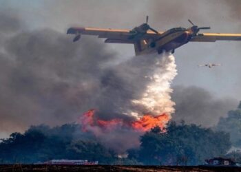 Φωτιά στη Φωκίδα – Συναγερμός στην Πυροσβεστική