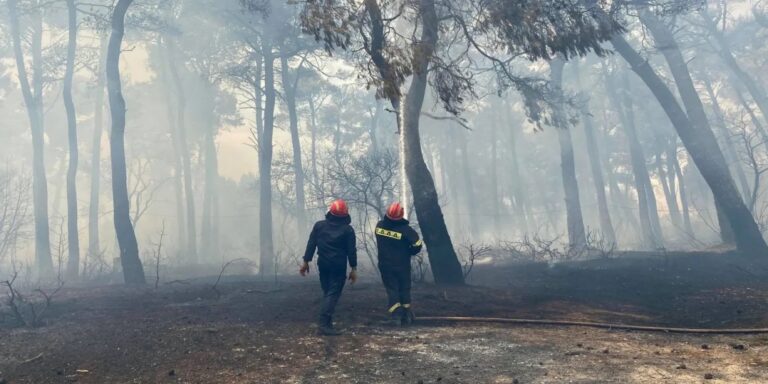 Φωτιά στη Μυτιλήνη – Δύο εστίες στη Βρίσα