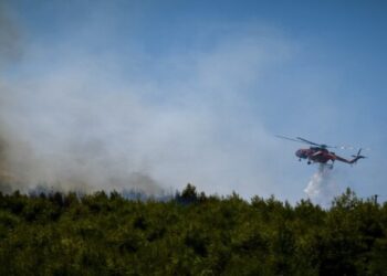 Φωτιά στη Βόρεια Εύβοια – Τραυματίστηκε πολίτης