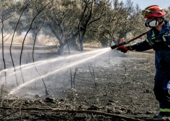Οι πέντε συνήθεις ύποπτοι για τις φωτιές (και γιατί τελικά δεν φταίει κανείς)
