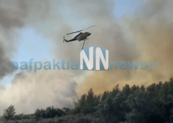 Φωτιά στο Ευηνοχώρι Αιτωλοακαρνανίας: Μήνυμα από το 112 για εκκένωση δύο περιοχών