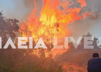 Φωτιά στην Ηλεία – Συναγερμός στην Πυροσβεστική