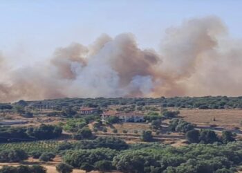 Δύο φωτιές στην Κεφαλονιά – Μήνυμα 112 για εκκένωση τριών περιοχών Ι ΦΩΤΟ & ΒΙΝΤΕΟ