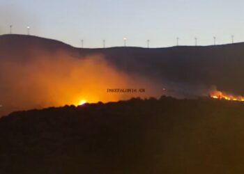 Φωτιά στην Κεφαλονιά – «Υπό έλεγχο, μόνο μικρές αναζωπυρώσεις», λέει ο πρόεδρος της Κοινότητας Φαρακλάτων