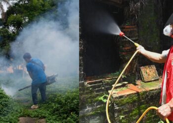 Κίνα: Τι είναι ο ιός τσικουνγκούνια με τα χιλιάδες κρούσματα;