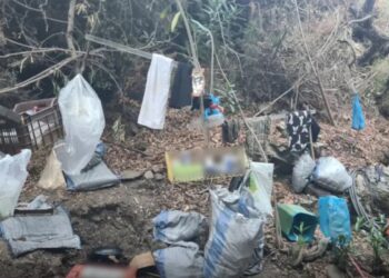 Κρήτη: Βίντεο με την καταδίωξη 28χρονου που καλλιεργούσε χασίς – Δύο συλλήψεις