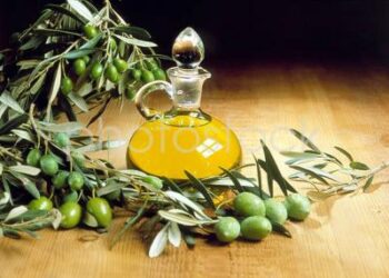 Δασμοί: Οι 20 ελληνικοί εξαγωγικοί κλάδοι που πλήττουν – Τα μέτρα στήριξης που προτείνονται