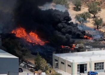 Φωτιά στη Λέσβο – Κοντά σε επιχειρήσεις στην περιοχή Αλυφαντά