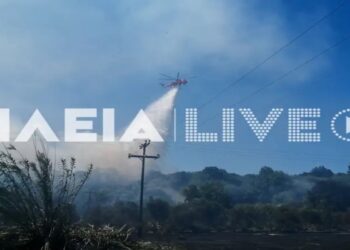 Φωτιά στην Ηλεία – Σε συναγερμό η πυροσβεστική