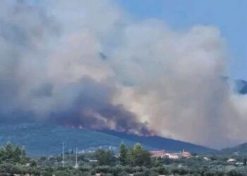 Φωτιά στη Μεσσήνη – Μήνυμα 112 για εκκένωση προς Μελιγαλά
