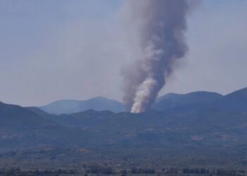 Φωτιά στη Μεσσήνη – Ισχυρές δυνάμεις της Πυροσβεστικής στο σημείο