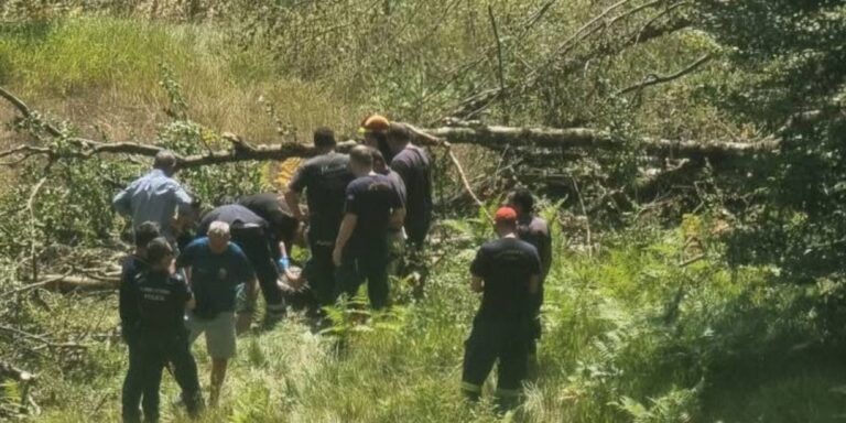 Εργατικό ατύχημα στο Μέτσοβο: Κορμός οξιάς τραυμάτισε σοβαρά ξυλοκόπο