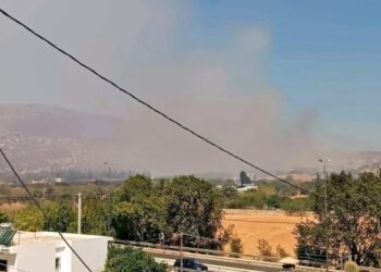 Φωτιά στην Παλιοκαμάριζα Αττικής – Ήχησε το 112 – Διακοπή κυκλοφορίας στη Λεωφόρο Λαυρίου