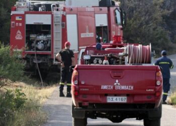 Φωτιά στη Σαλαμίνα