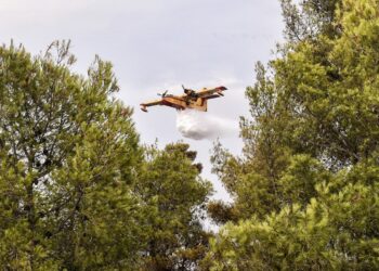 Φωτιά στο Αμμόβουνο Ορεστιάδας