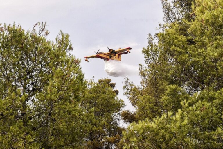 Φωτιά στο Αμμόβουνο Ορεστιάδας
