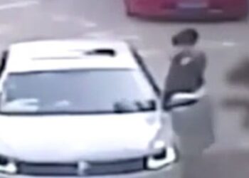 Κίνα: Τίγρης κατασπάραξε γυναίκα σε σαφάρι μπροστά στα μάτια της οικογένειάς της (βίντεο)