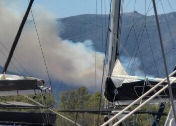 Φωτιά στην Τροιζήνα – Σηκώθηκαν εναέρια μέσα