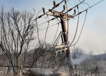Οι εξελίξεις στα πύρινα μέτωπα: Αναζωπύρωση στην Πρέβεζα – Καλύτερη εικόνα σε Πάτρα και Χίο – Υπό έλεγχο σε Αργολίδα και Κερατέα