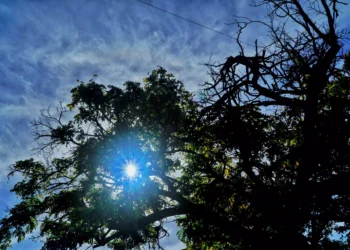 Καιρός: Αίθριος με μικρή πτώση θερμοκρασίας στα βόρεια