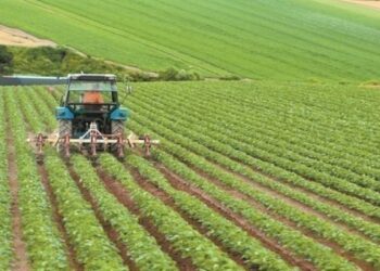 Τελεσίγραφο στις Βρυξέλλες, πρόβατα στα κάγκελα