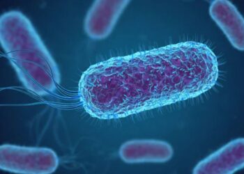 Αντιβιοτικά: Πώς καταρρέει η «πανοπλία» των βακτηρίων και ανοίγονται νέοι δρόμοι για θεραπείες