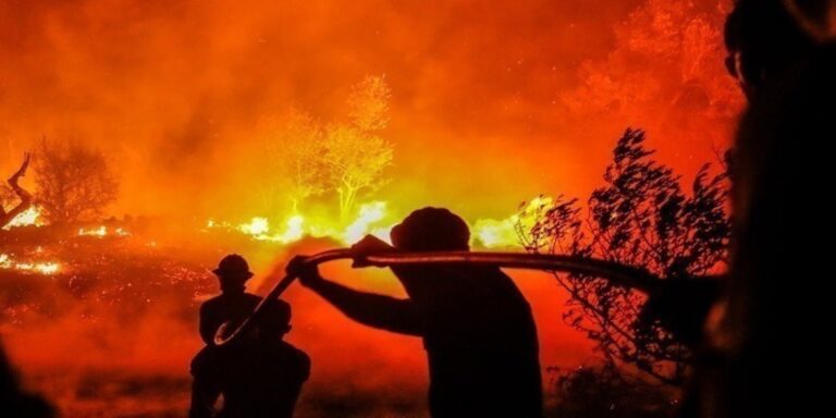 Καθαρισμοί οικοπέδων: Όλες οι αλλαγές στις ημερομηνίες και τα πρόστιμα