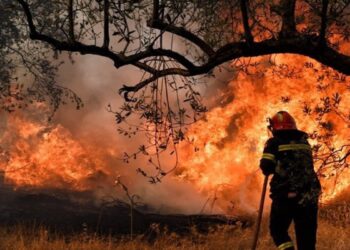 Φωτιά στο Καματερό – Σηκώθηκαν εναέρια μέσα
