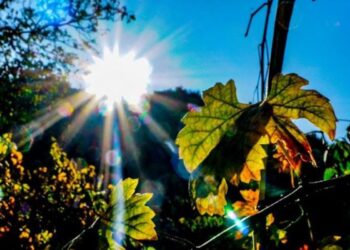 Καιρός: Πότε θα πέσει δέκα βαθμούς η θερμοκρασία – Λίγες πιθανότητες για βροχή