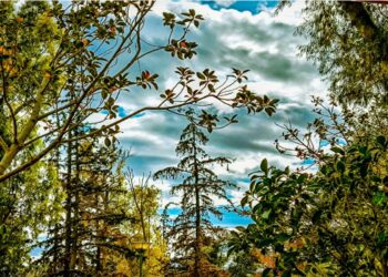 Νέα ανάρτηση Μαρουσάκη για τον καιρό – «37αρια αλλά και έντονες καταιγίδες σήμερα»